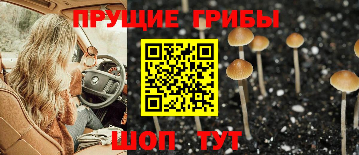 Галлюциногенные грибы мухоморы Стрежевой