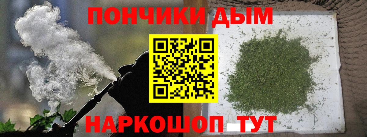 Бошки Шишки семена Стрежевой